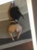 Zafiro puta y escort en Tlaquepaque